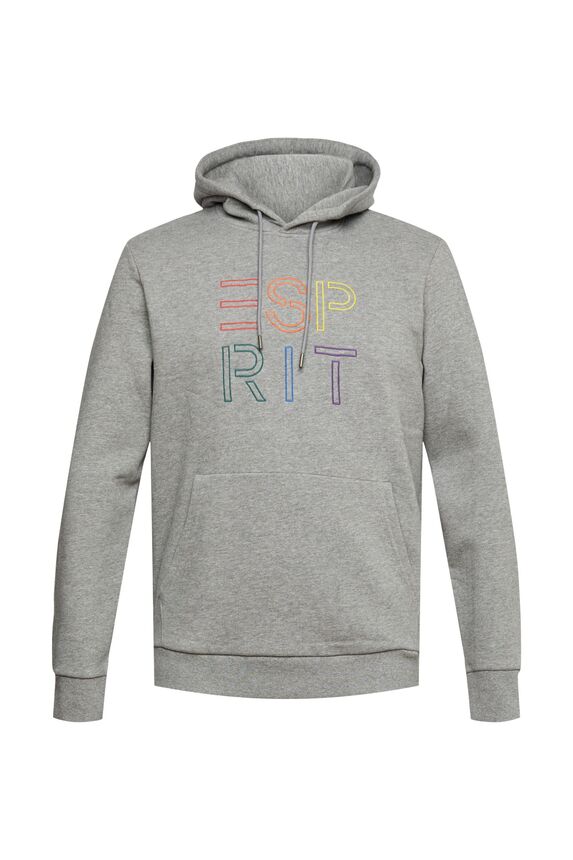 Толстовка ESPRIT MEDIUM GREY 5 072EE2J315 039 купити в інтернет ...